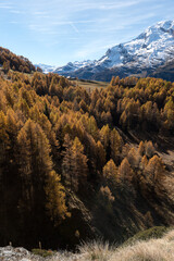 Le hameau du Monal en automne © DELAIRON