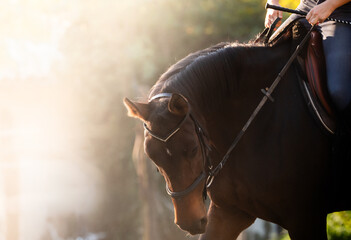 A young girl riding a chestnut horse in rural countryside.