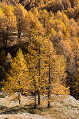 Le hameau du Monal en automne © DELAIRON