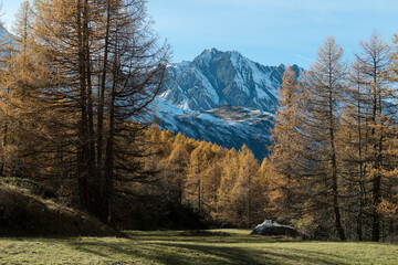 Le hameau du Monal en automne © DELAIRON