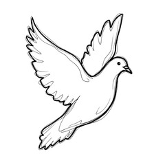 Obraz premium Dove in flight in line art style for Theophany symbolism and Holy Spirit visuals