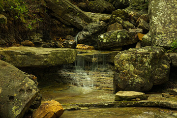 Intimate view of a forest creek falling over layered stone formations.