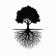 Silhouette of a tree with roots