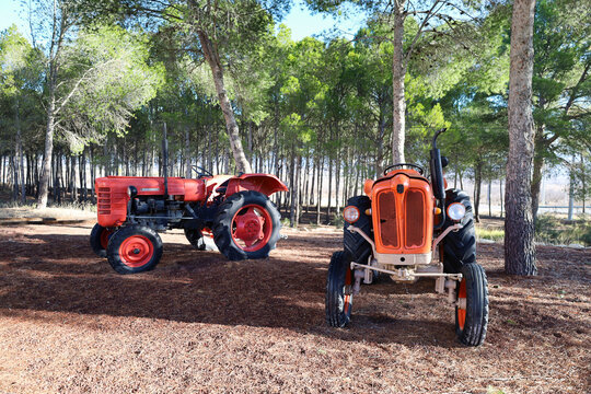 Old tractor Fiat and Zetor 3011 models exhibited in Alicante