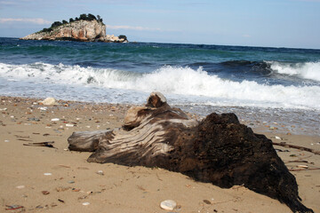 Stunning serene relaxing sandy beach with waves, travel themes.