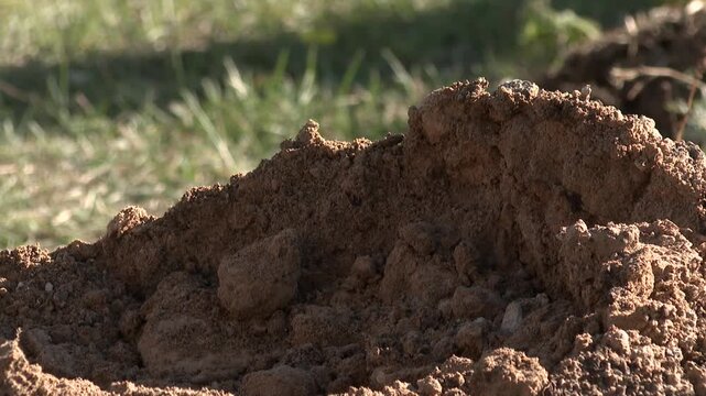 Close up of a gravedigger using a shovel to move soil. The man is filling a grave with earth in a cemetery with tombstones in the background.

