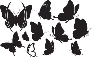 Fototapeta premium Silhouette of various butterflies isolated on transparent background