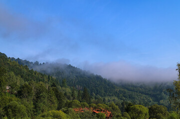 Obraz premium Serene landscape with misty morning fog over green meadow and mountains