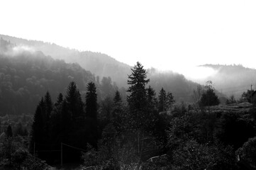 Serene landscape with misty morning fog over green meadow and mountains