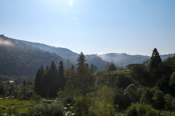 Serene landscape with misty morning fog over green meadow and mountains