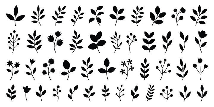 Collection of Black Botanical Silhouettes of Leaves and Flowers on White Background Keywords: botanical, silhouette, leaves, flowers, plants