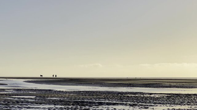 Silhouette of people walking dog on wide sandy beach at golden sunset, shimmering sea horizon and low tide reflections, peaceful coastal evening in France