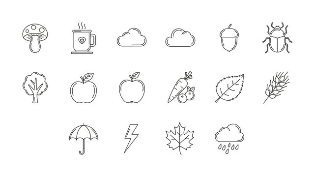 Nature icons set with line drawings of plants and weather