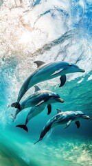Sun-Dappled Ocean: Three Graceful Dolphins Ascending Through Turquoise Waters, Golden Light