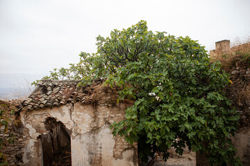 Calanchi are unique 'badlands' in Basilicata, Italy, formed by white clay erosion in the area surrounding the ghost town, Craco.