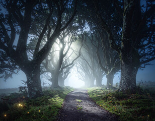 A mystical dark forest path lined with ancient gnarled trees shrouded in fog. Ethereal light and glowing fireflies create a magical fantasy atmosphere perfect for book covers or mystery themes.