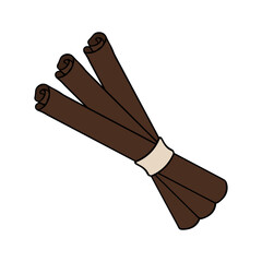 Three cinnamon sticks tied together without background