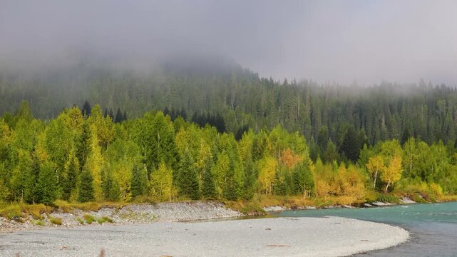 Foggy morning on the Katun River, Altai, Russia