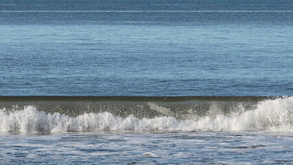 Fototapeta premium Venice Beach, California