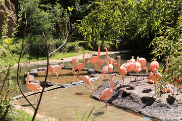Sonniger Fr&uuml;hlingstag im Wuppertaler Zoo