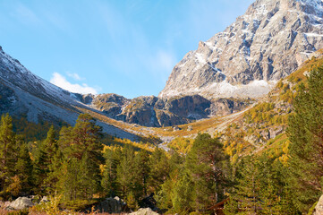 Autumn forest creates colorful frame for distant mountain peaks, where seasonal foliage meets alpine grandeur.