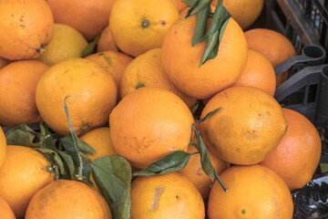 Frische Orangen auf dem Markt