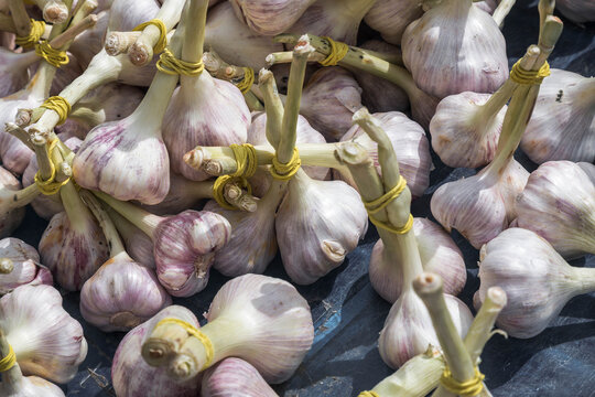 Frischer Knoblauch am Markt Nahaufnahme