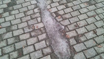 ice on cobblestone path in urban area during the day