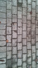 Paved walkway with grey stones and some debris during daytime