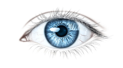Human Eye Close-Up Blue Iris Detail Dramatic Lighting