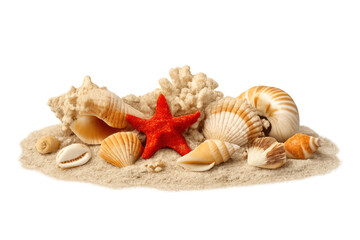 Seashells and red starfish on sand pile, collecting tropical marine summer beach elements, transparent background
