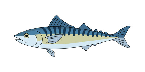 Vector illustration of a mackerel fish with signature blue stripes and silver belly, isolated on white. Clean flat design for fishing or food themes