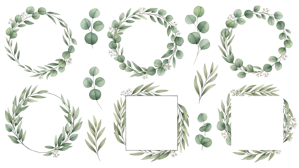 Watercolor floral illustration set   green leaf Frame collection, for wedding stationary, greetings, wallpapers, fashion, background Eucalyptus, olive, green leaves, etc High quality illustration