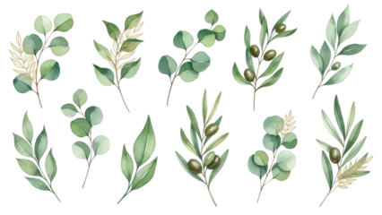 Watercolor floral illustration set   green & gold leaf branches collection, for wedding stationary, greetings, wallpapers, fashion, background Eucalyptus, olive, green leaves, etc