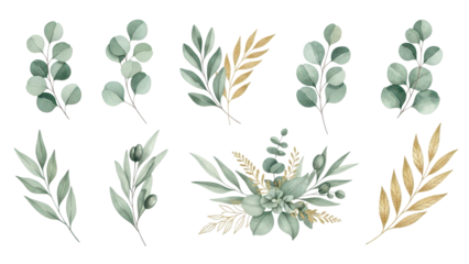 Watercolor floral illustration set   green & gold leaf branches collection, for wedding stationary, greetings, wallpapers, fashion, background Eucalyptus, olive, green leaves, etc