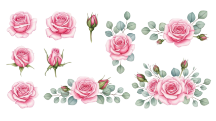 Set watercolor elements of pink roses; collection garden flowers; leaves; branches Botanic; illustration, eucalyptus; Wedding floral design