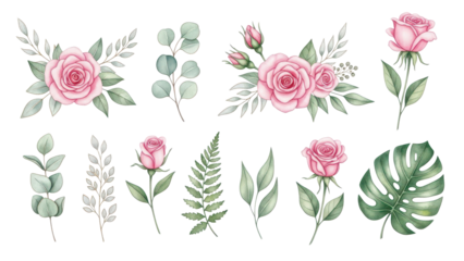 Set watercolor elements of pink roses; collection garden flowers; leaves; branches Botanic Wedding floral design Collection of greenery leaf plant forest herbs tropical leaves