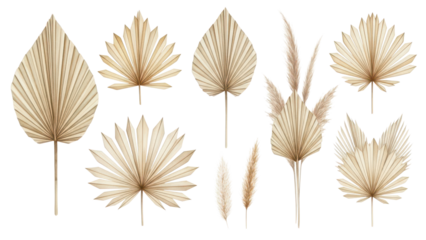 Set of dried palm spears and sun leaves Boho watercolor floral elements for desert theme wedding decoration