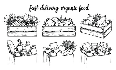 Organic food in wooden crates and paper bags with fresh produce in simple line art style for healthy eating promotion