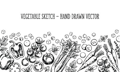 Vegetable Illustration in Hand Drawn Style with Black and White Color on Vector Format for Culinary Use