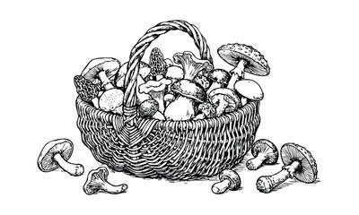 Mushrooms in wicker basket with scattered fungi in detailed black and white illustration for culinary or nature-themed designs