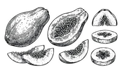 Papaya Fruit Slices in Hand-Drawn Illustration Style with Detailed Shading on White Background for Culinary Use