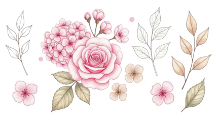 Pink flowers watercolor rose illustration Watercolour Pink Beige floral isolated element set