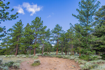 Beautiful sunny landscape along the East Portal Trail