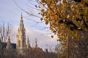 Magnificent Neo-Gothic Vienna City Hall Framed by Golden Autumn