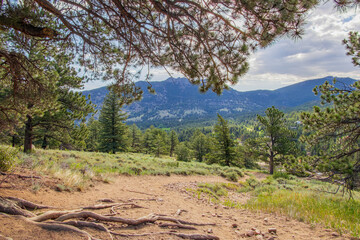 Beautiful sunny landscape along the East Portal Trail