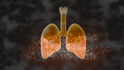 3D animation of a smoker's lungs. The changes between healthy lungs and smoker's lungs. Suitable for presentations or children's learning.