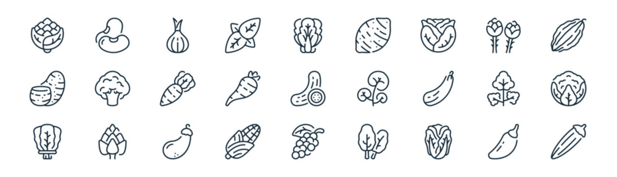 linear vegetables icon pack. vector thin line icons collection such as jalapeno, beans, onion, asparagus, parsnip, cauliflower, pepper, okra