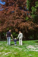 Fototapeta premium Family walks in a green park with flowers on the ground under a large tree during daytime in spring season