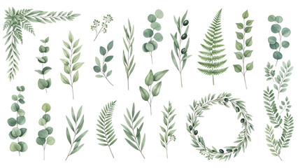 Collection of watercolor greenery branch leaves twigs floral plant forest herbs isolated on white background Botanical spring summer leaf illustration for wedding invitation card, frame and wreath